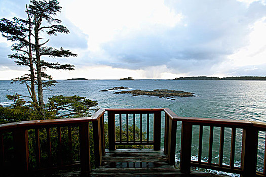 木质露台,向外看,中间,海滩,住宿,不列颠哥伦比亚省,加拿大