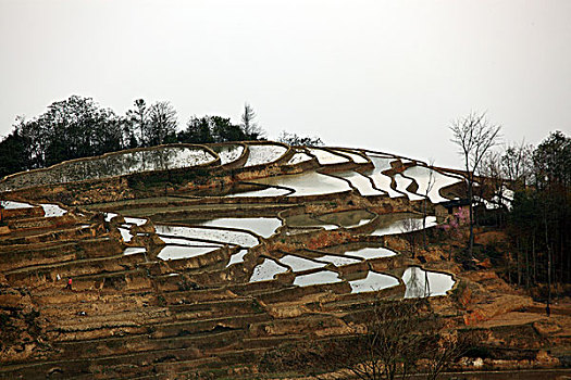 云南元阳梯田