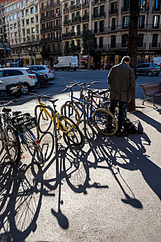 自行车,影子,兰不拉,街道,巴塞罗那,加泰罗尼亚,西班牙