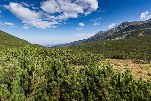 风景,山,徒步旅行,波兰,欧洲