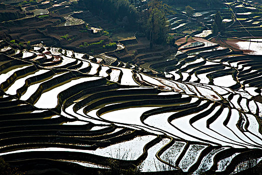 元阳哈尼梯田