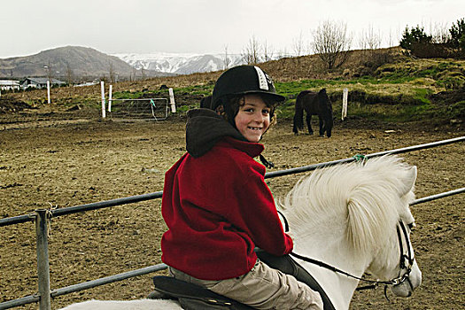 微笑,男孩,冰岛马,冰岛