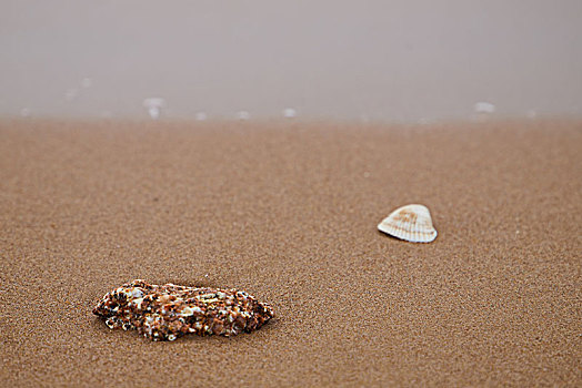 海边沙滩上的一块小石头