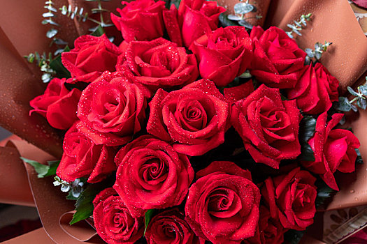 红色玫瑰花