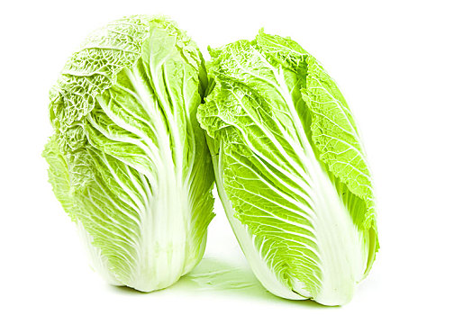 白底上放着大白菜