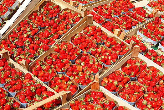 新鲜,草莓,草莓属,木盒,市场摊位,不莱梅,德国,欧洲