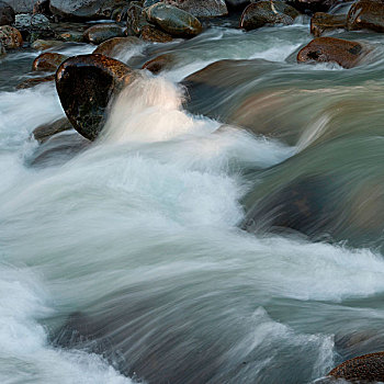 河,流动,石头,惠斯勒,不列颠哥伦比亚省,加拿大