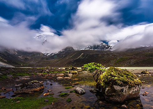 山顶山风光