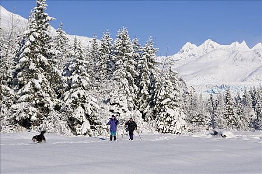 女人,越野滑雪,冰冻,河,通加斯国家森林,冬天