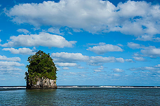 一个,石头,椰树,美洲,萨摩亚群岛,大洋洲