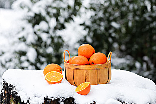 雪地里的橙子