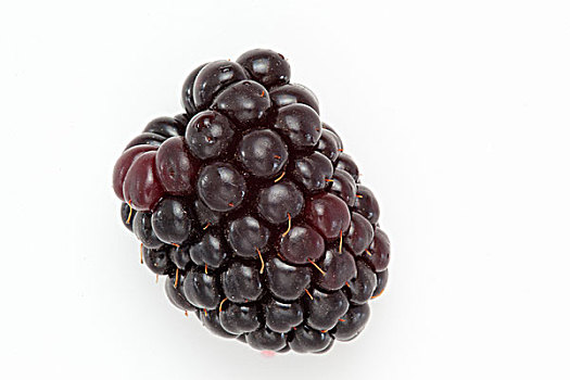 黑莓,白色背景