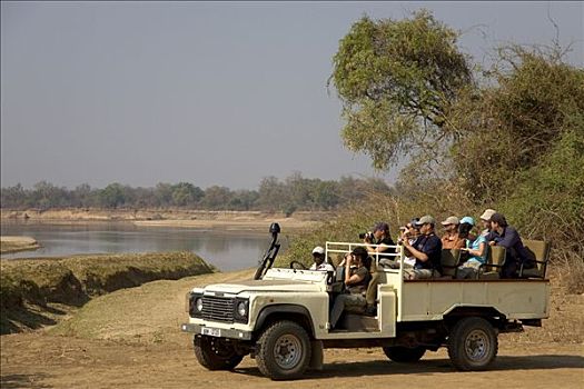 旅游,游客,南卢安瓜国家公园,靠近,东方,省,赞比亚,非洲