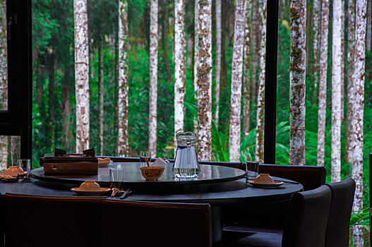 餐厅的落地窗外竟是一片树林美景