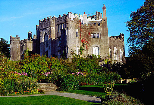 城堡,爱尔兰,家,伯爵