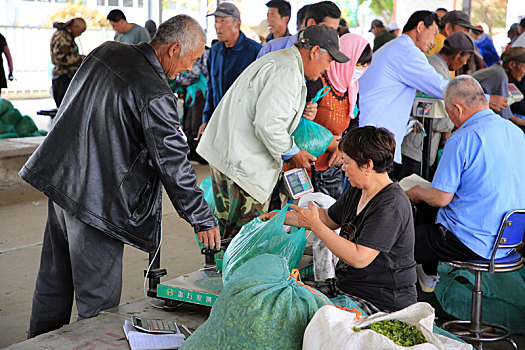 山东省日照市,小山村成为当地最大茶叶鲜叶交易市场,年交易量超千万斤