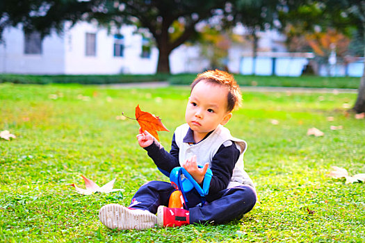 小男孩坐在电子科技大学沙河校区的草坪上拿着枫叶