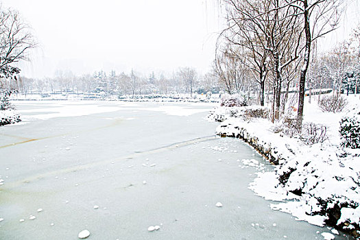 雪景