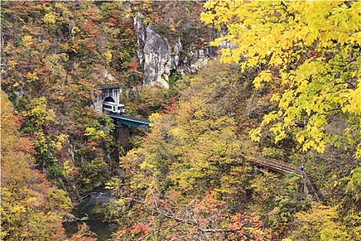 秋色,日本