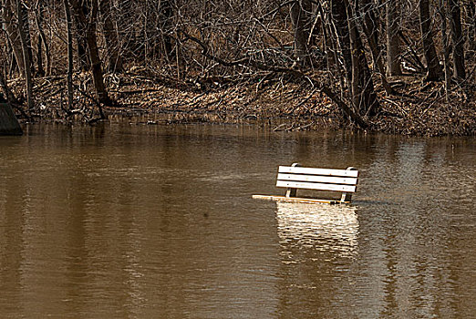 美国,新泽西,南,枝条,河,春天,洪水,淹没,公园长椅