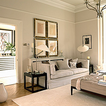 沙发,角,优雅,客厅