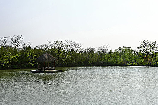杭州西溪湿地湖泊里的木屋