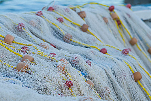 维京群岛,夏洛特阿马利亚,渔网