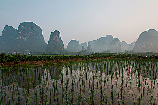 阳朔,桂林,广西,中国