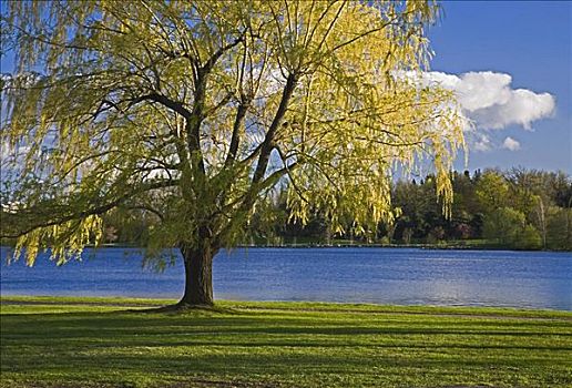 道斯湖,渥太华,安大略省,加拿大