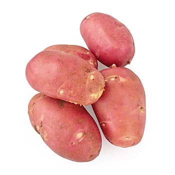 土豆,红色,白色背景
