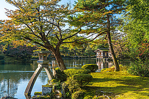 风景,花园,秋天,树,水塘,船库,远景