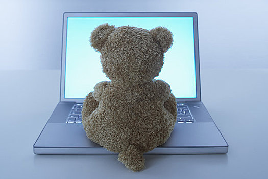 泰迪熊,笔记本电脑