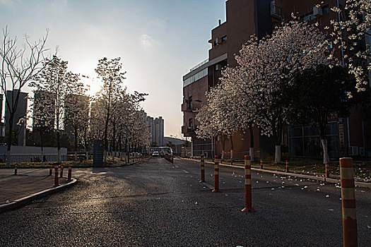 贵阳花溪区政府美景