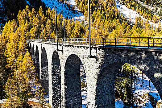 铁路桥,道路,秋天,山谷,瑞士,欧洲