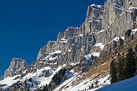 岩石构造,山地牧场,靠近,瑞士,欧洲