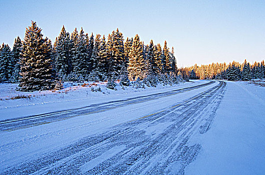 道路,冬天,赖丁山国家公园,曼尼托巴,加拿大