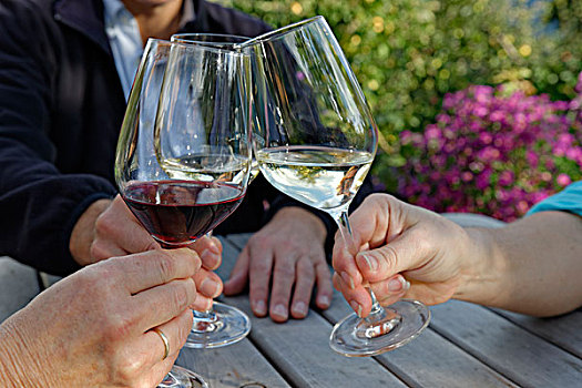 三个人,碰杯,葡萄酒杯,南蒂罗尔,意大利,欧洲