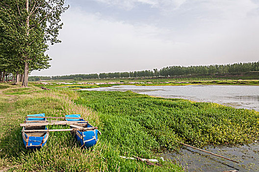 湿地中的蓝色小木船