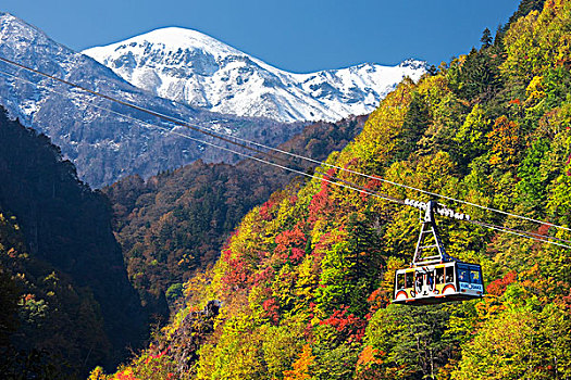 山,索道,秋叶