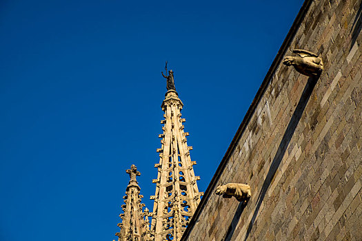 大教堂,巴塞罗那,哥特区,加泰罗尼亚,西班牙