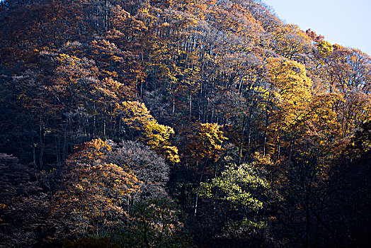 光雾山