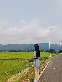 海南陵水富力湾环岛旅游公路稻田