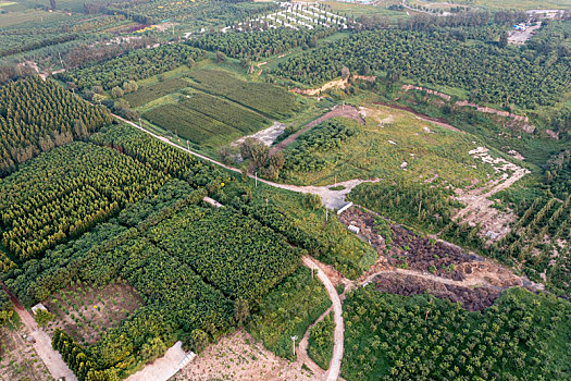 石家庄市,深泽县,滨河公园,航拍画面