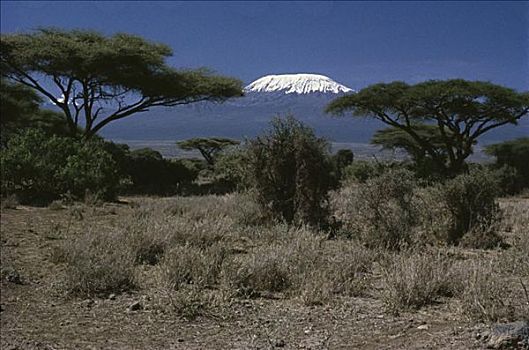 乞力马扎罗山,坦桑尼亚