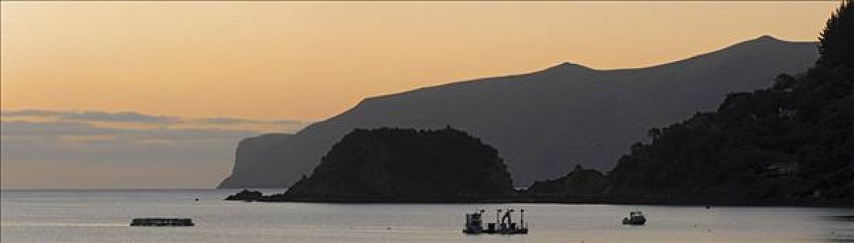 日出,上方,阿卡罗瓦,港口,班克斯半岛,风景,新西兰