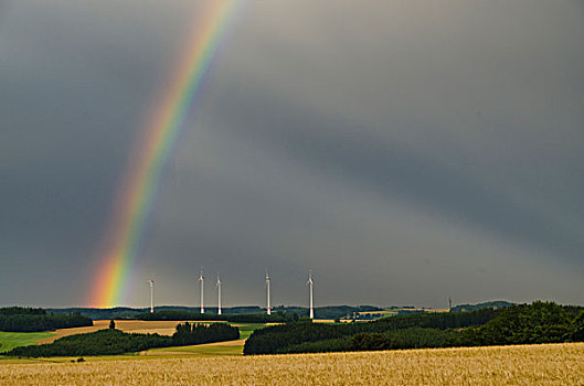 风,植物,后面,庄稼地,暗色,天空,彩虹,萨克森,德国,欧洲
