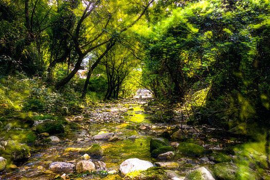 中国,浙江省,温州市,雁荡山