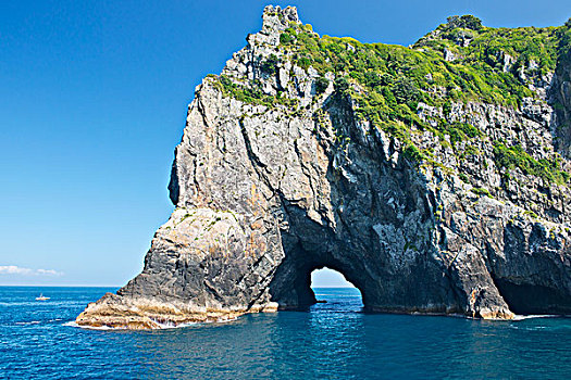 新西兰,北岛,岛屿湾,洞,石头,大幅,尺寸