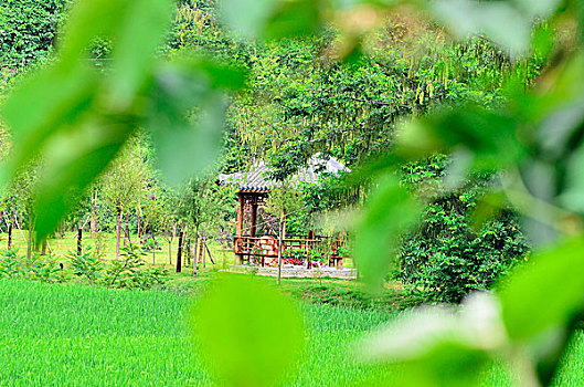 云南,文山,广南县,坝美村