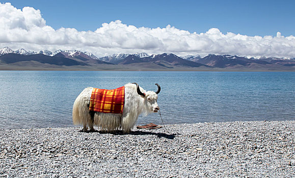 西藏纳木措美景